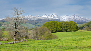 Mont-de-Marsan